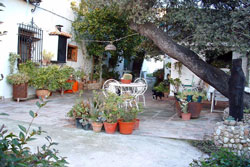 Jardín de la entrada a la casa